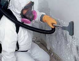  Lake Forest Park, WA Mold Removal Pros